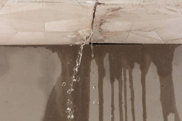 Professional Burst Pipe Cleanup technician working in Shady Side, MD